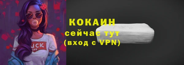 мдпв Волоколамск