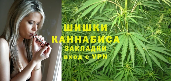 мдпв Волоколамск