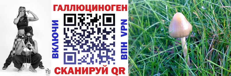 Галлюциногенные грибы MAGIC MUSHROOMS  ссылка на мегу зеркало  Карасук 